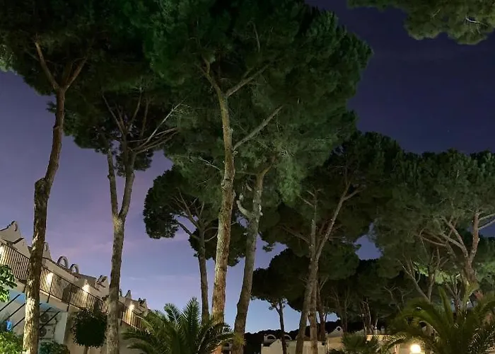 Casa Hibiscus マルベーリャ