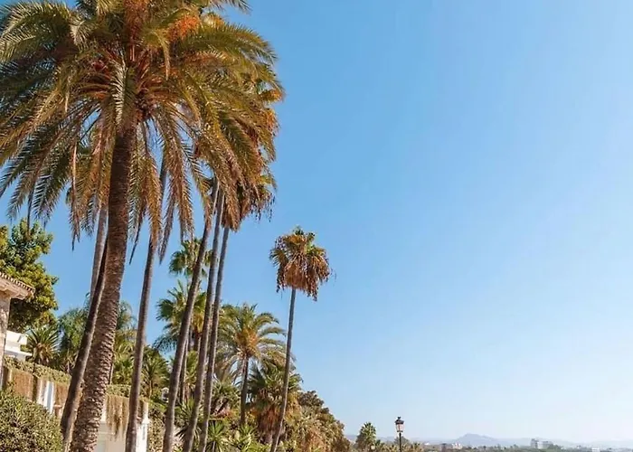 別荘 Casa Hibiscus マルベーリャ